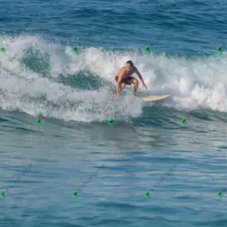 Foto 144 - BarraBela - P6 2026-02-16