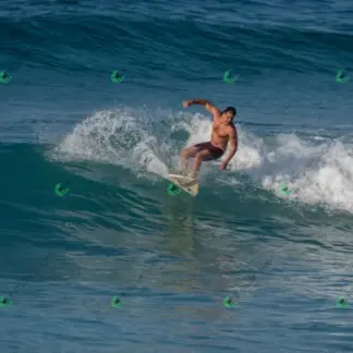 Foto 148 - BarraBela - P6 2026-02-16