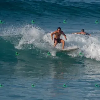 Foto 149 - BarraBela - P6 2026-02-16