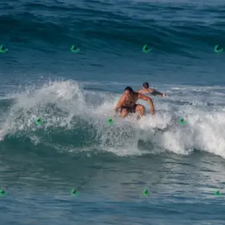 Foto 151 - BarraBela - P6 2026-02-16