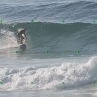 Foto 185 - BarraBela - P6 2026-02-16