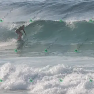 Foto 182 - BarraBela - P6 2026-02-16