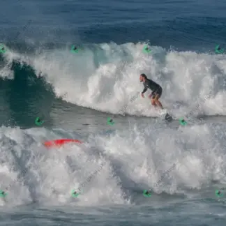 Foto 246 - BarraBela - P6 2026-02-16