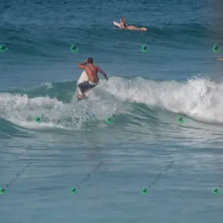 Foto 448 - BarraBela - P6 2026-02-16