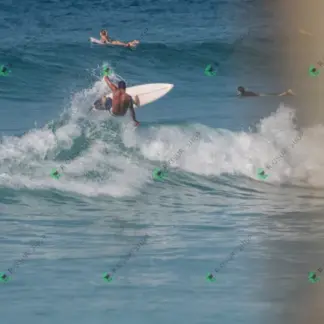 Foto 455 - BarraBela - P6 2026-02-16