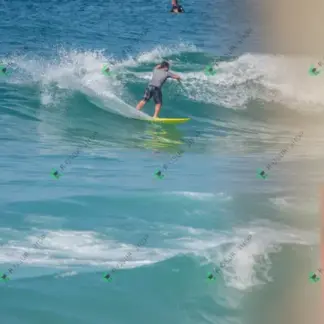 Foto 449 - BarraBela - P6 2026-02-16