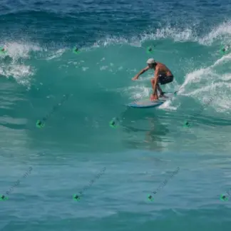 Foto 487 - BarraBela - P6 2026-02-16