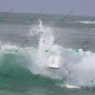 Foto 12 - Posto 11 2026-02-16