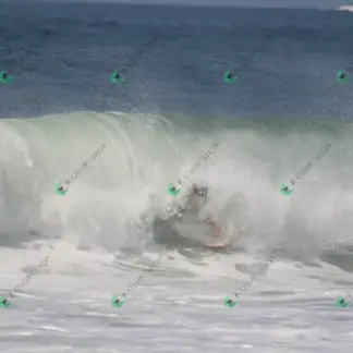 Foto 178 - CCB 2026-02-16