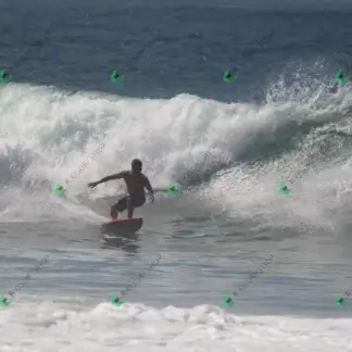 Foto 186 - CCB 2026-02-16