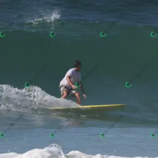 Foto 3 - CCB 2026-02-16