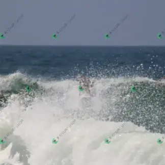 Foto 605 - CCB 2026-02-16