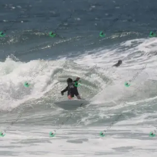 Foto 682 - CCB 2026-02-16