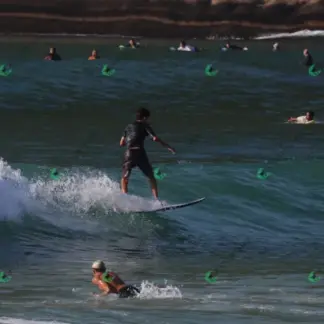 Foto 17 - Canto do Recreio 2026-02-16