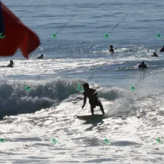 Foto 393 - Canto do Recreio 2026-02-16