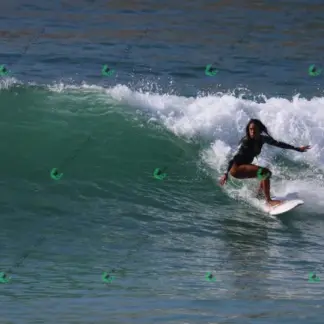 Foto 448 - Canto do Recreio 2026-02-16