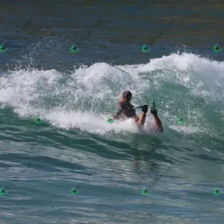 Foto 484 - Canto do Recreio 2026-02-16