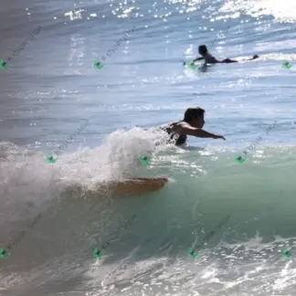 Foto 586 - Canto do Recreio 2026-02-16