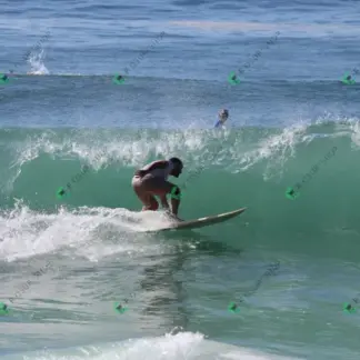 Foto 585 - Canto do Recreio 2026-02-16