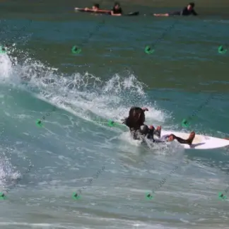 Foto 654 - Canto do Recreio 2026-02-16