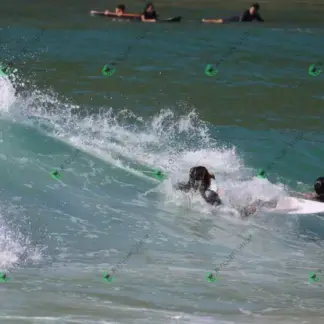 Foto 653 - Canto do Recreio 2026-02-16