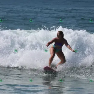 Foto 694 - Canto do Recreio 2026-02-16