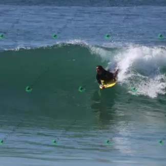 Foto 759 - Canto do Recreio 2026-02-16