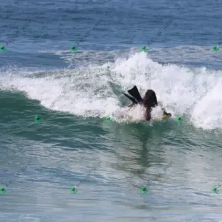 Foto 779 - Canto do Recreio 2026-02-16