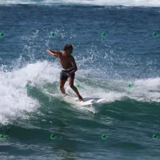 Foto 900 - Canto do Recreio 2026-02-16