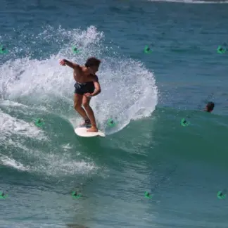 Foto 950 - Canto do Recreio 2026-02-16