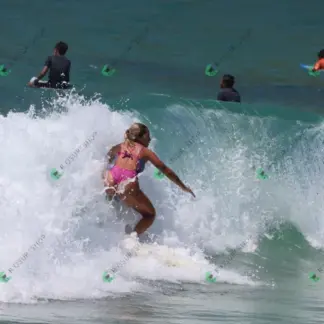 Foto 1008 - Canto do Recreio 2026-02-16