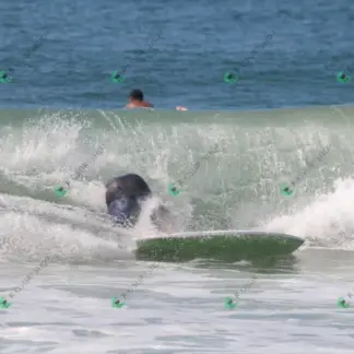 Foto 83 - CCB 2026-02-17