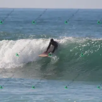 Foto 81 - CCB 2026-02-17