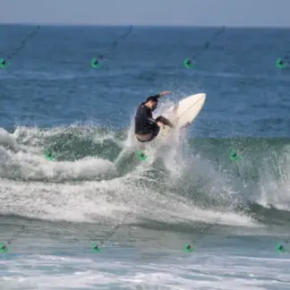 Foto 119 - CCB 2026-02-17