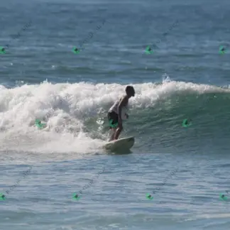 Foto 145 - CCB 2026-02-17