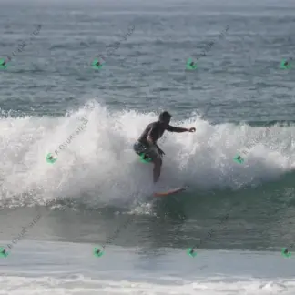 Foto 184 - CCB 2026-02-17