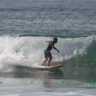 Foto 182 - CCB 2026-02-17