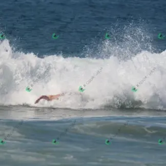 Foto 192 - CCB 2026-02-17