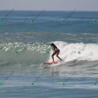 Foto 628 - CCB 2026-02-17