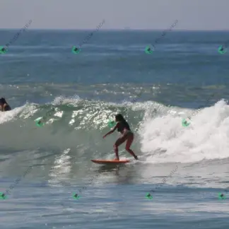 Foto 626 - CCB 2026-02-17