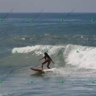 Foto 627 - CCB 2026-02-17