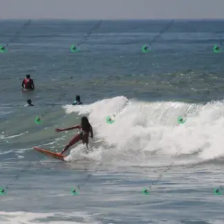 Foto 631 - CCB 2026-02-17