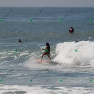 Foto 630 - CCB 2026-02-17