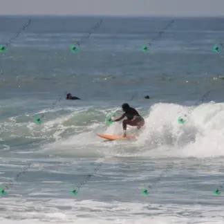 Foto 635 - CCB 2026-02-17