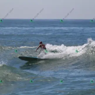 Foto 659 - CCB 2026-02-17