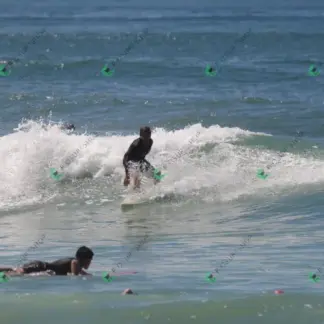 Foto 698 - CCB 2026-02-17