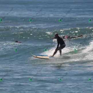 Foto 703 - CCB 2026-02-17