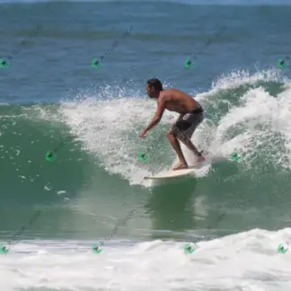 Foto 724 - CCB 2026-02-17