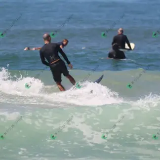 Foto 730 - CCB 2026-02-17