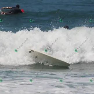 Foto 758 - CCB 2026-02-17